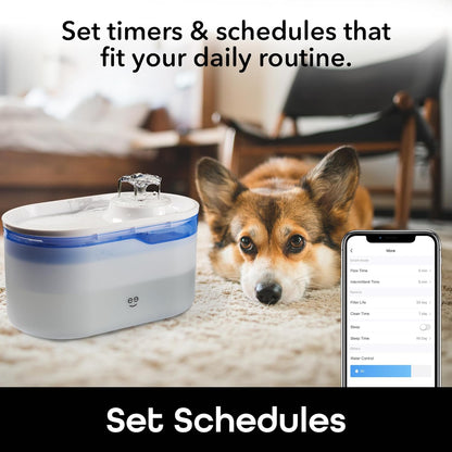 Petconnect 2.6L Smart Pet Water Fountain, Automatic Filtered Water Bowl for Cats and Dogs, Wi-Fi Controlled, Alexa & Google Home Compatible, Clean and Fill Alerts, White